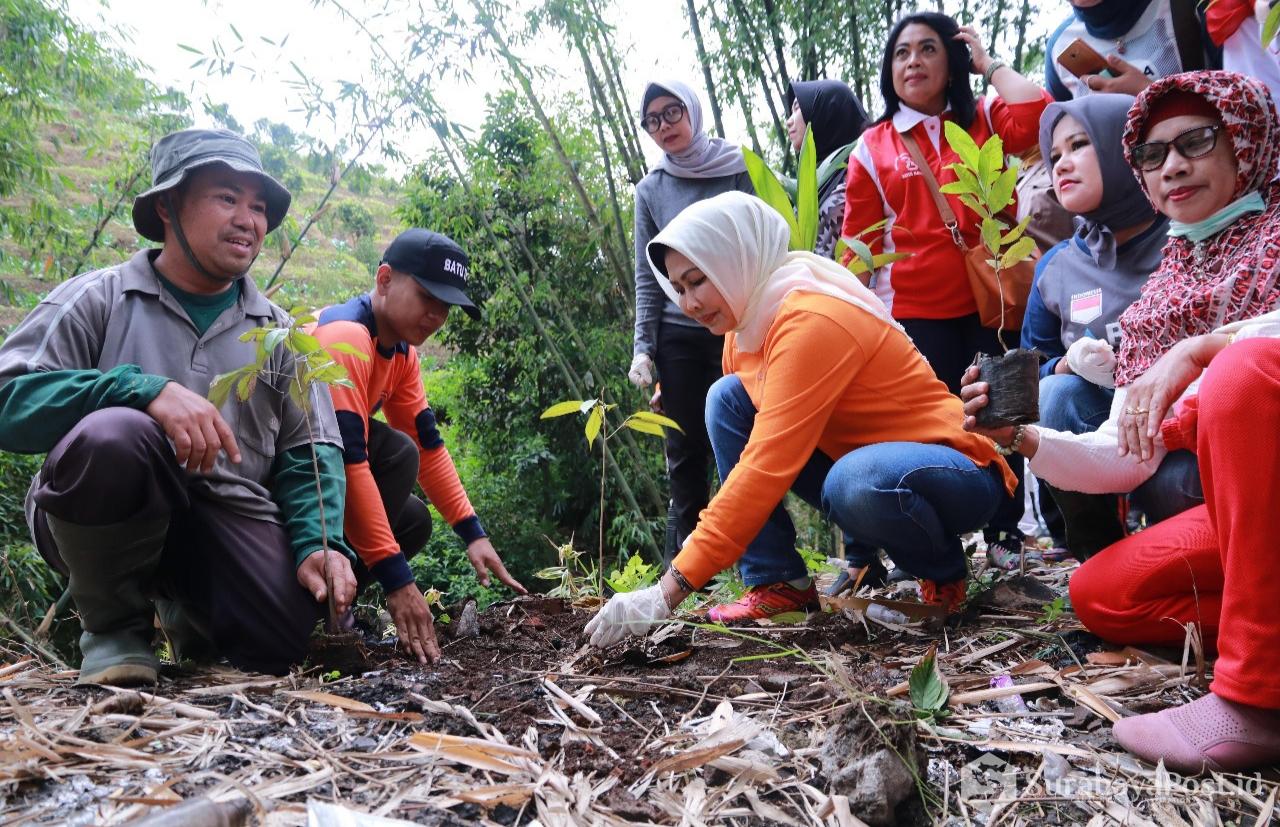 Wali Kota Dewanti Rumpoko saat menanam pohon di kawasan Sumber Sungai Brantas.