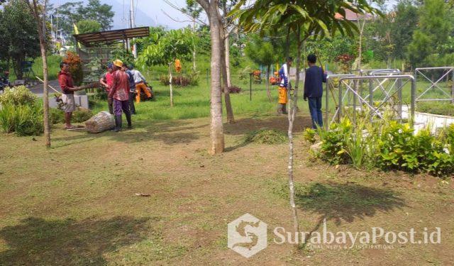 IMG-20190110-WA0121 DLH Kota Batu menurunkan Tim Peramu Taman untuk membenahi Taman Hutan di Temas yang dikeluhkan warga.