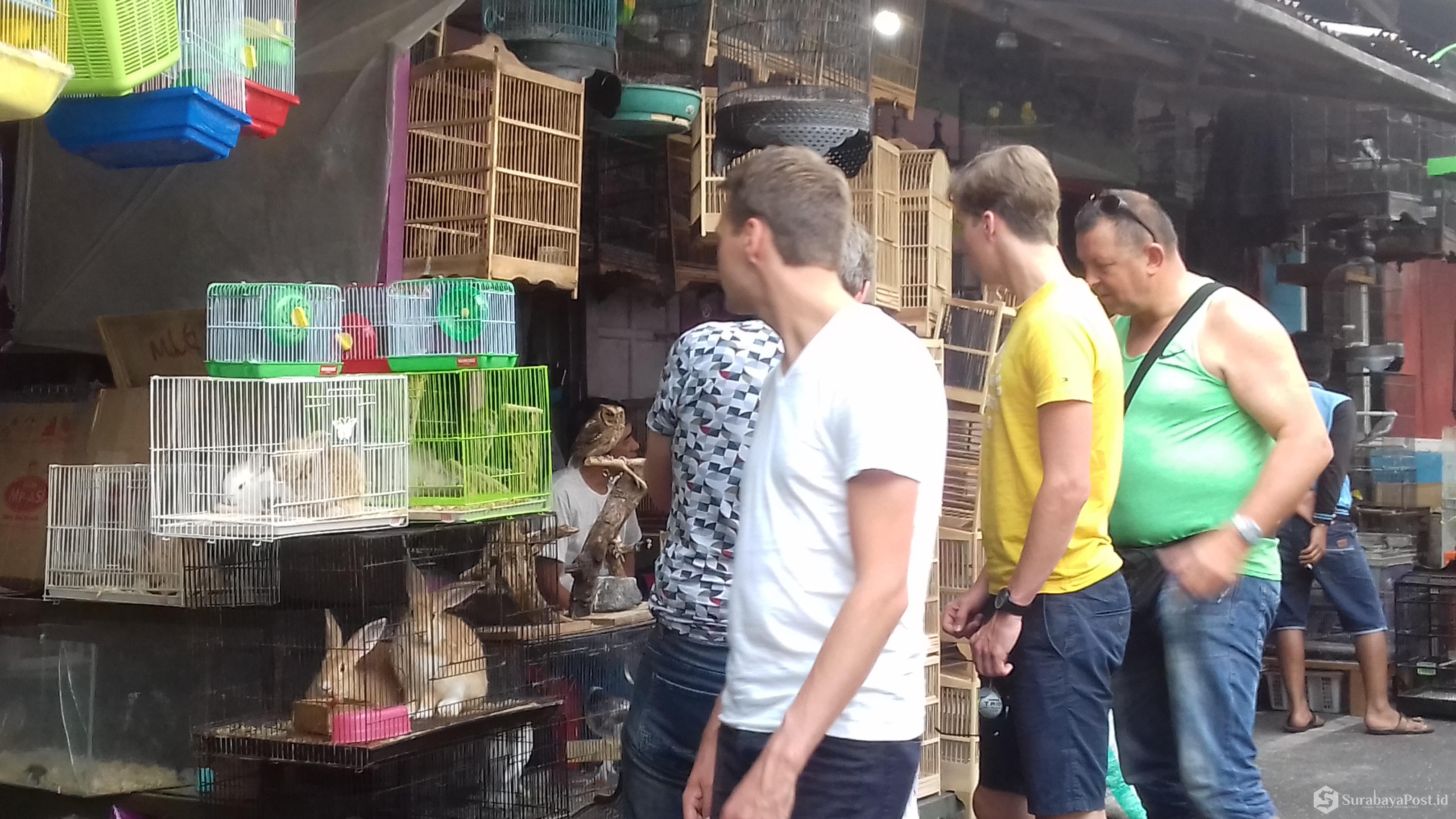 Wisatawan asing asal Australia kala berkunjung ke Pasar Burung Mendit di Kota Malang, Jatim.