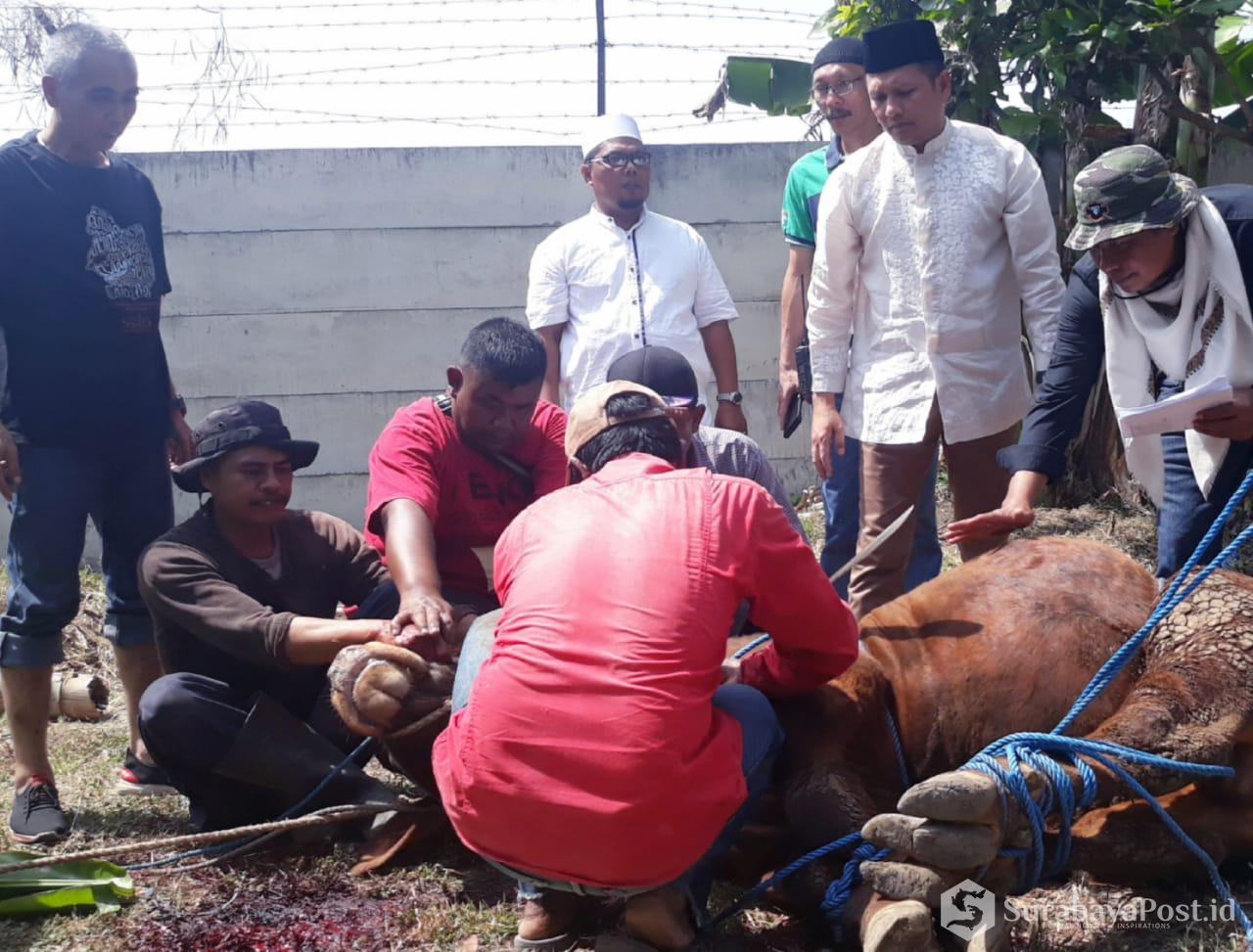 Kapolres Batu AKBP Budi Hermanto saat memantau pemotongan hewan kurban di Mapolres Batu