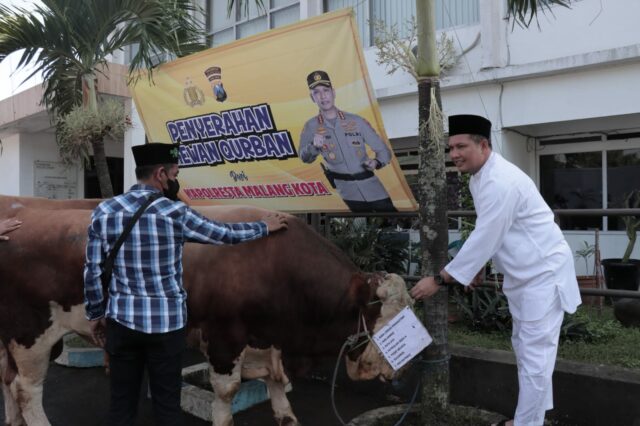 Kapolresta Malang Kota, Kombes Pol Budi Hermanto menyerahkan secara simbolis puluhan hewan kurban (ist)