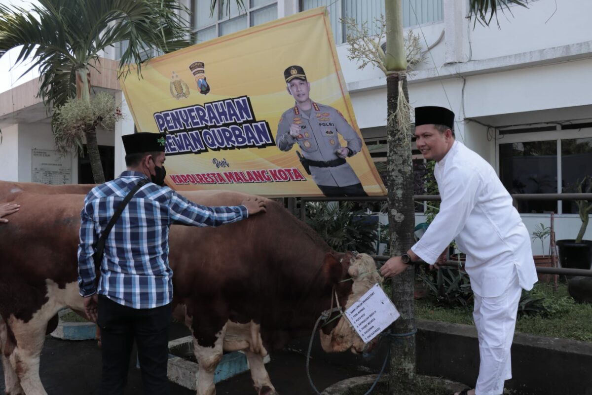 Kapolresta Malang Kota, Kombes Pol Budi Hermanto menyerahkan secara simbolis puluhan hewan kurban (ist)