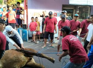 Prosesi penyembelihan hewan kurban oleh panitia kurban Masjid Babul Hidayah, RT 11 RW 04 Kelurahan Tanjungrejo, Kota Malang, Jawa Timur