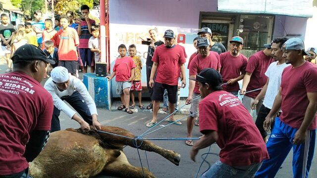 Prosesi penyembelihan hewan kurban oleh panitia kurban Masjid Babul Hidayah, RT 11 RW 04 Kelurahan Tanjungrejo, Kota Malang, Jawa Timur
