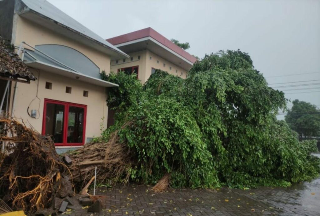 Hujan deras disertai angin kencang di wilayah Madiun, sedikitnya delapan rumah warga mengalami kerusakan