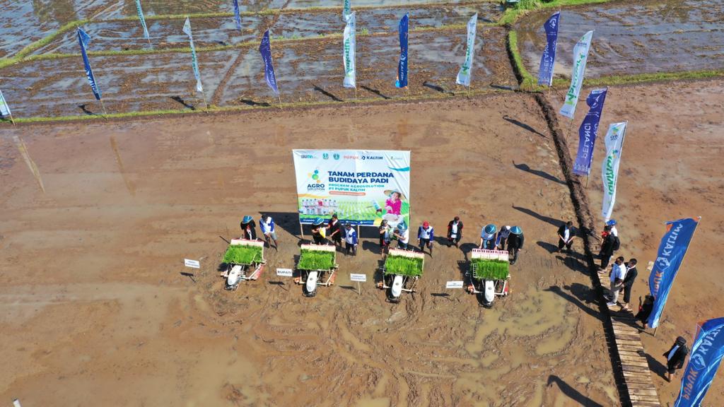 PT Pupuk Kaltim, lakukan penanaman perdana padi Varietas Ciherang di Kabupaten Ponorogo Jawa Timur (ist)