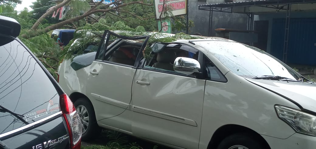 Mobil yang ditumpangi keluarga asal Surabaya tertimpa pohon di Magetan