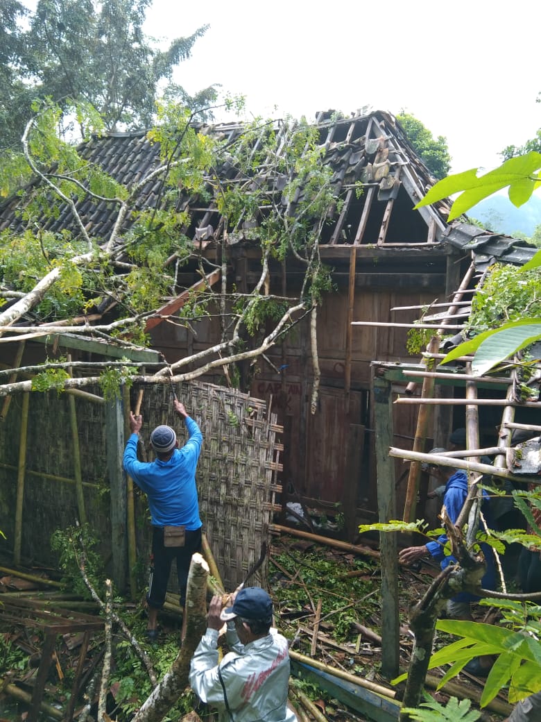 Rumah Janda Miskin di Pacitan Dihancurkan Pohon Tumbang
