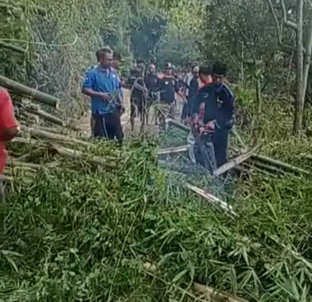 Terdera Hujan, Rumpunan Bambu Ambrol Tutup Akses Jalan di Madiun