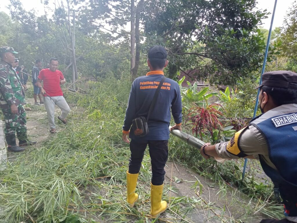 Terdera Hujan, Rumpunan Bambu Ambrol Tutup Akses Jalan di Madiun