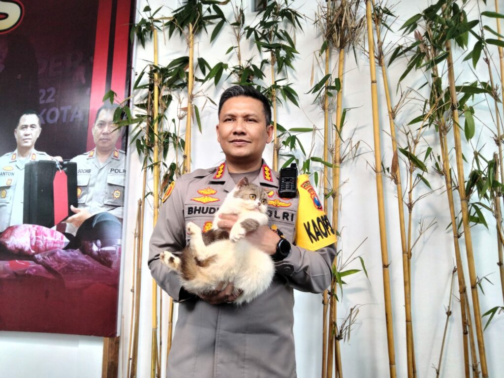 Kombes Pol Budi Hermanto menggendong kucing milik salah satu komunitas pecinta hewan