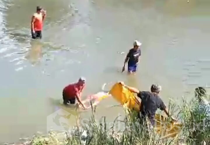 Mayat Wanita Mengambang di Sungai, Gegerkan Ponorogo
