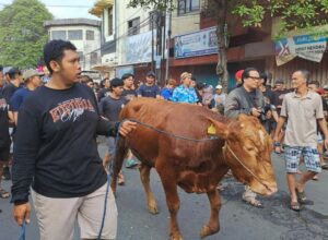 Tradisi unik arak Hewan Kurban Sebelum di sembelih di Kampung Temenggungan, Kelurahan Sukoharjo, Klojen Kota Malang, Jawa Timur (ist)