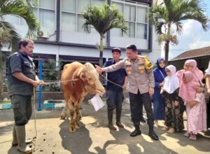 Kapolresta Malang Kota, Kombes Pol Budi Hermanto menyerahkan satu ekor sapi kurban untuk penyandang disabilitas untuk dilakukan penyembelihan di RPH Kota Malang