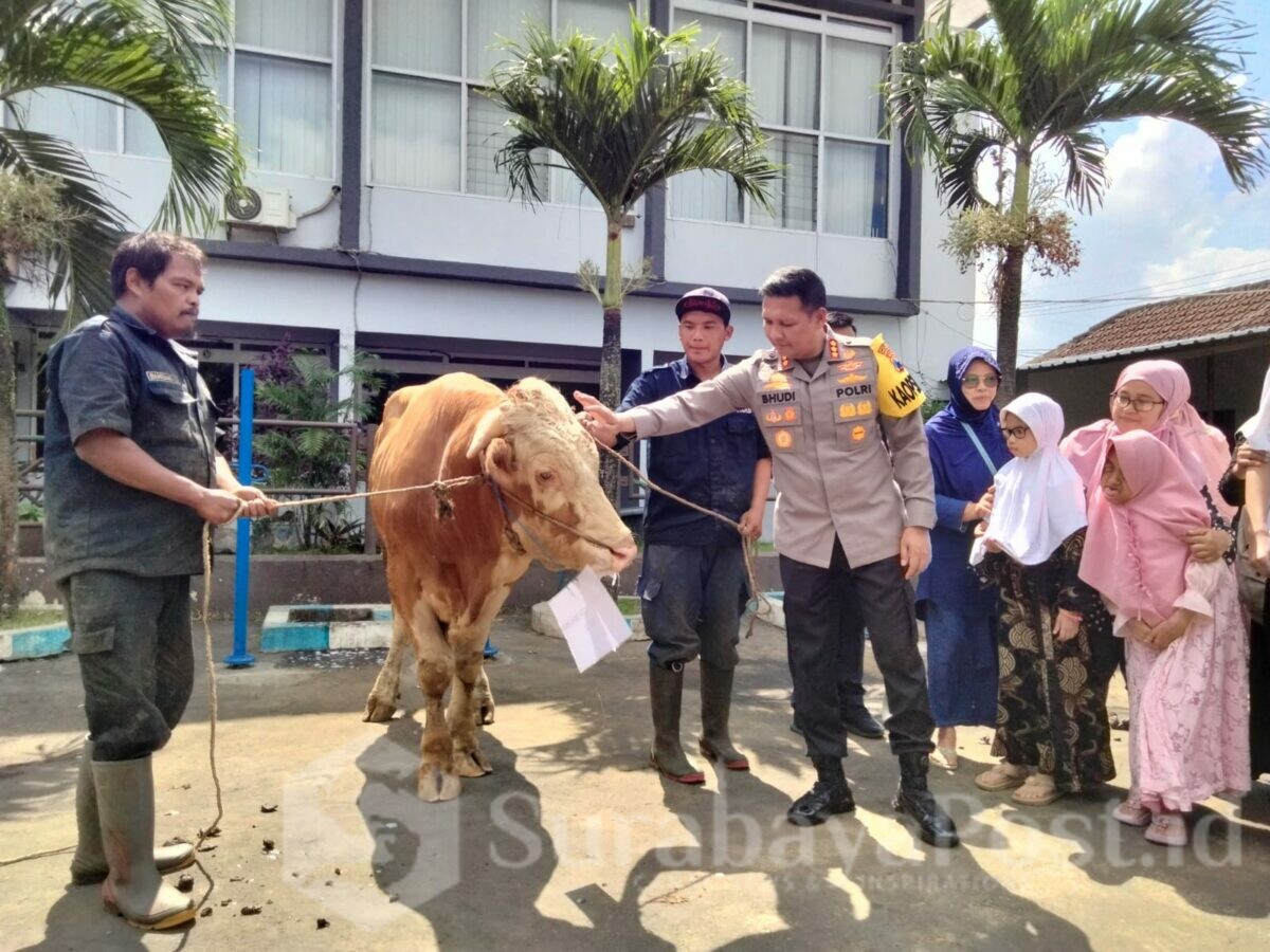 Kapolresta Malang Kota, Kombes Pol Budi Hermanto menyerahkan satu ekor sapi kurban untuk penyandang disabilitas untuk dilakukan penyembelihan di RPH Kota Malang
