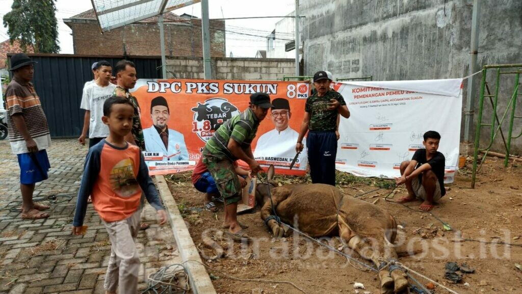 Momen Idul Adha 1444 Hijrah, DPC PKS Kecamatan Sukun, menyembelih 14 hewan kurban. Dengan rincian 4 ekor sapi dan 10 ekor kambing