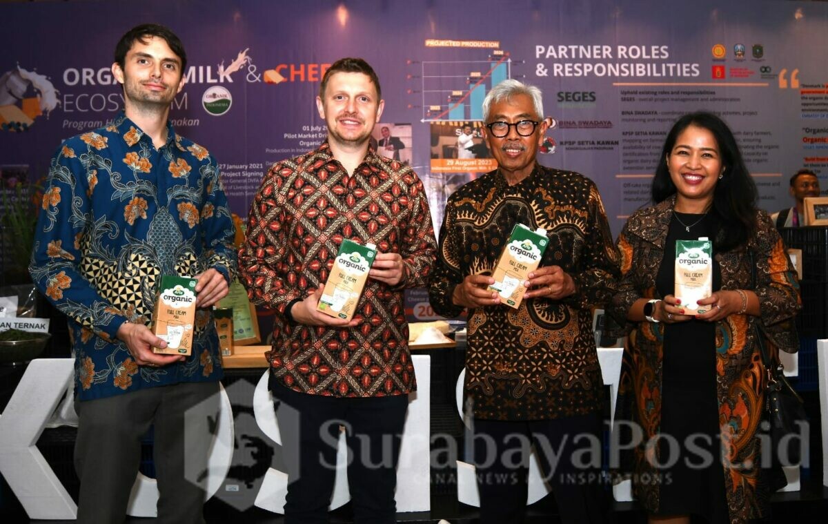 Perdana: Keju Organik Produksi Lokal Diluncurkan di Indonesia, Hasil Proyek Pengembangan Peternakan Susu Internasional Bersama Arla Foods Indonesia (ist)
