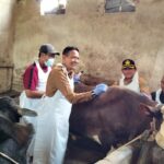 Antisipasi penyebaran penyakit mulut dan kaki (PMK) pada hewan ternak, Pemkot Malang melakukan pencegahan dengan vaksinasi, Senin (26/02/2024)