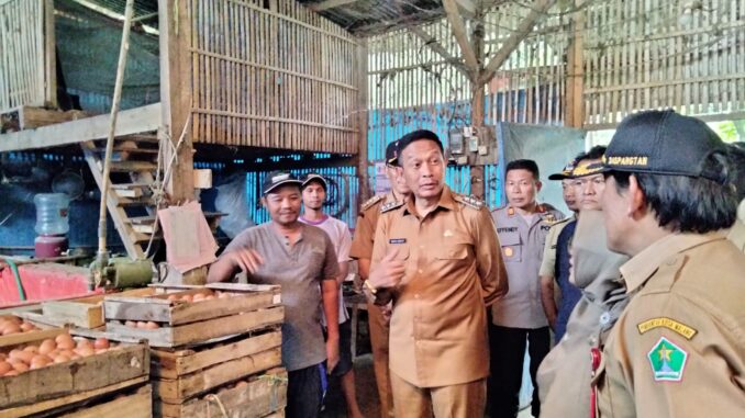Pj. Walikota Malang, Wahyu Hidayat saat meninjau salah satu peternakan di kawasan Tlogowaru, Kecamatan Kedungkandang