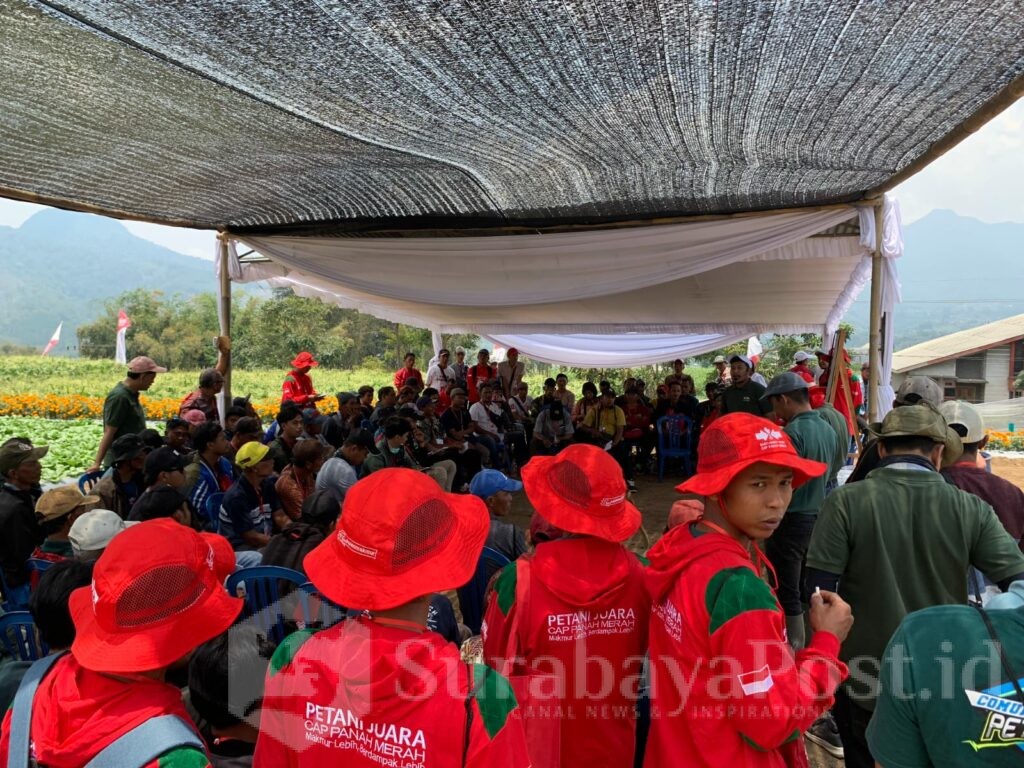 Cap Panah Merah, Brand dari Perusahaan PT East West Seed Indonesia kembali menggelar Festival Panen Makmur. Kali Ini digelar di Malang Jatim, Senin 14 hingga Selasa 15 Oktober 2024. (ist)