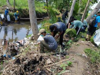 Semangat Kebudiutamaan! Mahasiswa Universitas IBU Bersih-Bersih Dam Sembujo, Desa Sukoharjo, Kepanjen, Kabupaten Malang Jawa Timur. (Sumber Humas UIBU)