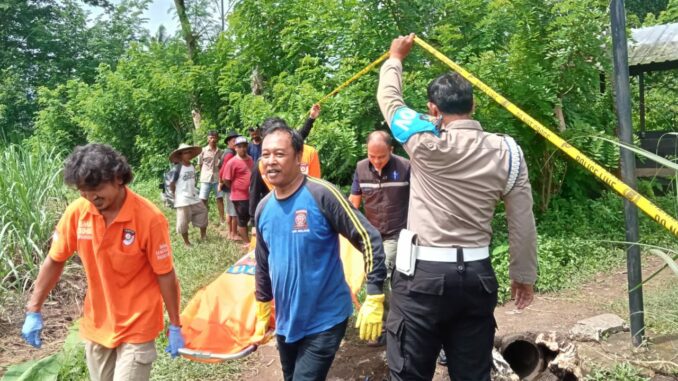 Polisi Selidiki Temuan Mayat Perempuan di Gubuk Sawah Kepanjen Malang, Selasa 17 Desember 2024. (Sumber hmsresma)