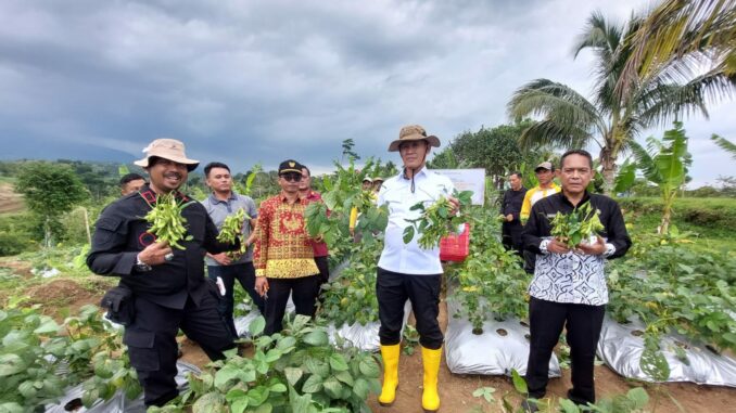 Kakanwil Ditjenpas Jatim, Kadiyono hadiri Panen Raya Edamame di SAE Lapas Kelas 1 Malang, Kamis 6 Februari 2025. (ist)