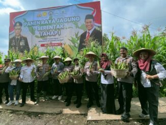 Wakapolres Batu bersama sejumlah anggota dan instansi terkait usai panen raya jagung tahap satu .(Ist)