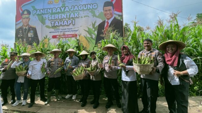 Wakapolres Batu bersama sejumlah anggota dan instansi terkait usai panen raya jagung tahap satu .(Ist)