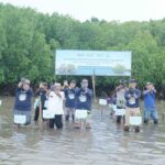 Selamatkan Pesisir Banyuwangi, Telkom Regional 3 Tanam 6.000 Bibit Mangrove. (ist)