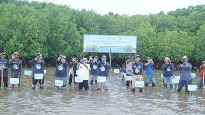 Selamatkan Pesisir Banyuwangi, Telkom Regional 3 Tanam 6.000 Bibit Mangrove. (ist)