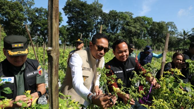 Walikota Malang, Wahyu Hidayat dan Wakil Walikota Ali Muthohirin memastikan ketersediaan cabai dan telur ayam mencukupi selama bulan suci Ramadhan. (Sumber Prokompim)