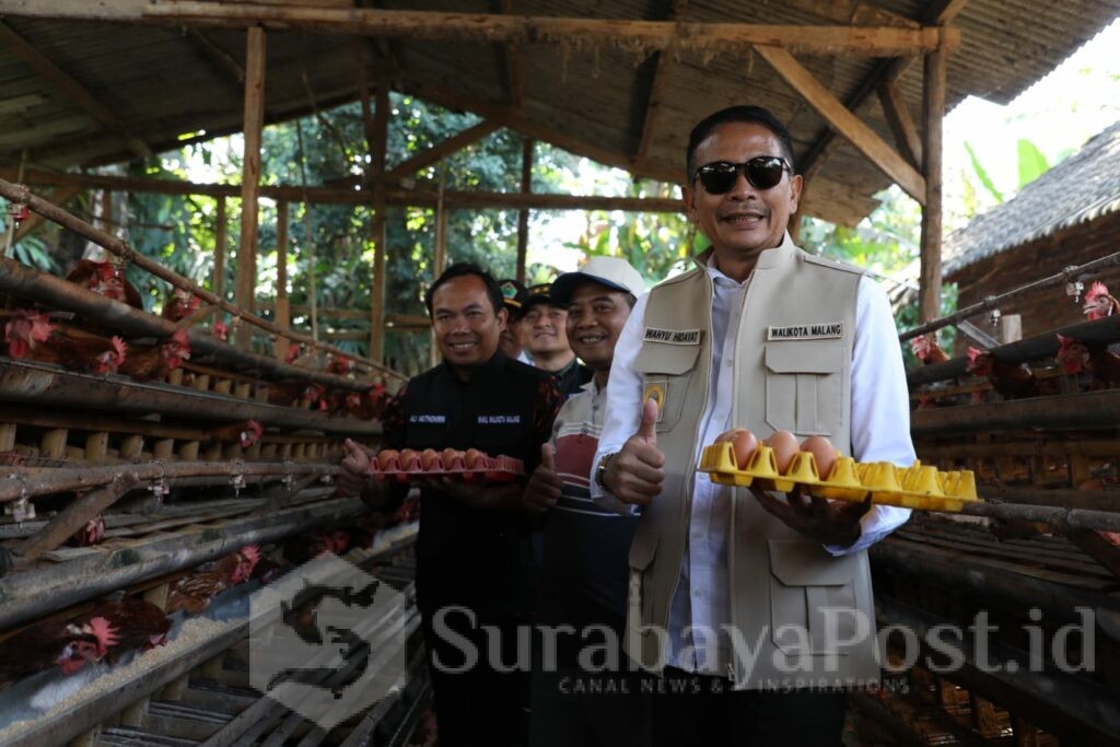 Walikota Malang, Wahyu Hidayat dan Wakil Walikota Ali Muthohirin memastikan ketersediaan cabai dan telur ayam mencukupi selama bulan suci Ramadhan. (Sumber Prokompim)