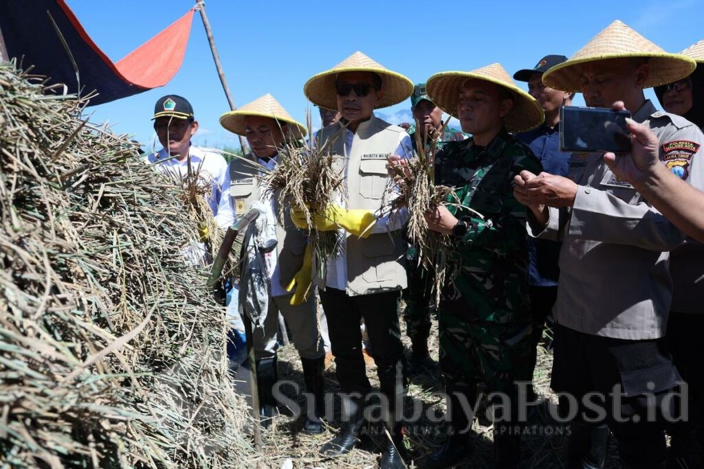 Panen Raya di Kota Malang melimpah
