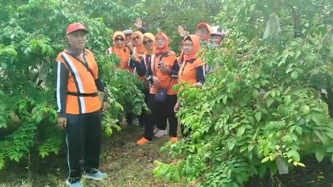 IMG-20250620-WA0046