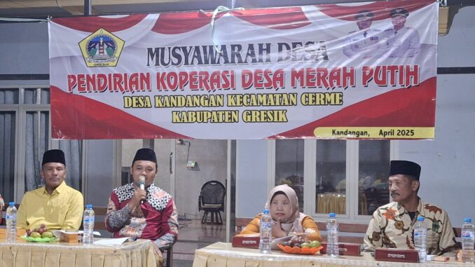 IMG-20250625-WA0016(1)