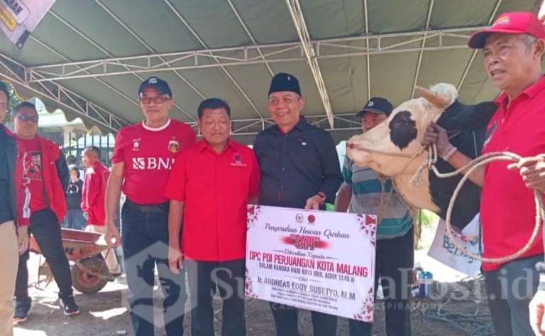 Anggota DPRD RI Andreas Eddy Susetyo juga terlihat hadir menyerahkan langsung hewan kurban sapi yang diberikan ke DPC PDI Perjuangan Kota Malang.
