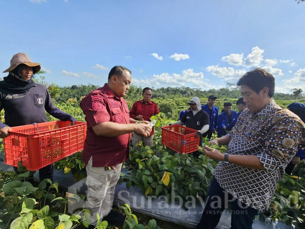 Lapas Malang dan UM Gelar Panen Edamame dan Lele, Sinergi untuk Ketahanan Pangan, Rabu 18 Juni 2025. (L'SIMA).