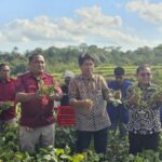 Lapas Malang dan UM Gelar Panen Edamame dan Lele, Sinergi untuk Ketahanan Pangan, Rabu 18 Juni 2025. (L'SIMA).