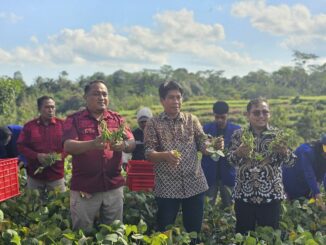 Lapas Malang dan UM Gelar Panen Edamame dan Lele, Sinergi untuk Ketahanan Pangan, Rabu 18 Juni 2025. (L'SIMA).