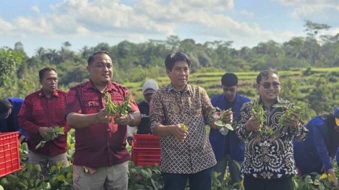 Lapas Malang dan UM Gelar Panen Edamame dan Lele, Sinergi untuk Ketahanan Pangan, Rabu 18 Juni 2025. (L'SIMA).