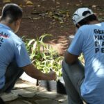 Kementerian Imipas meluncurkan 'Gerakan Nasional Pemasyarakatan, Klien Balai Pemasyarakatan Peduli 2025' pada Kamis (26/6/2025).