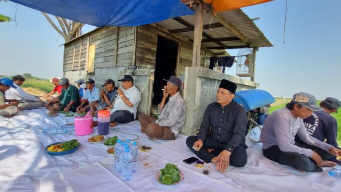 IMG-20250723-WA0033