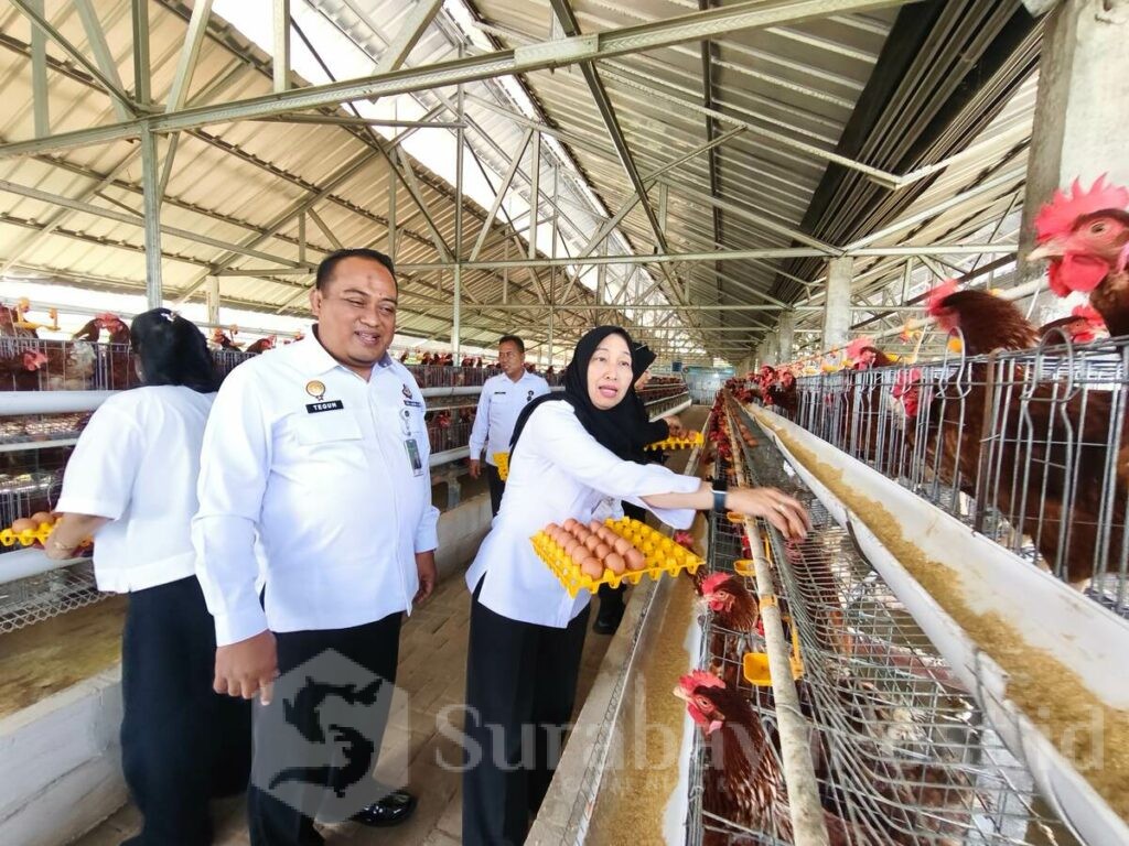 Kunjungi SAE L'SIMA, Asdep Kemenko: Jadi Contoh Keberhasilan Pembinaan Kemandirian Warga Binaan, Rabu 16 Juli 2025. (ist).
