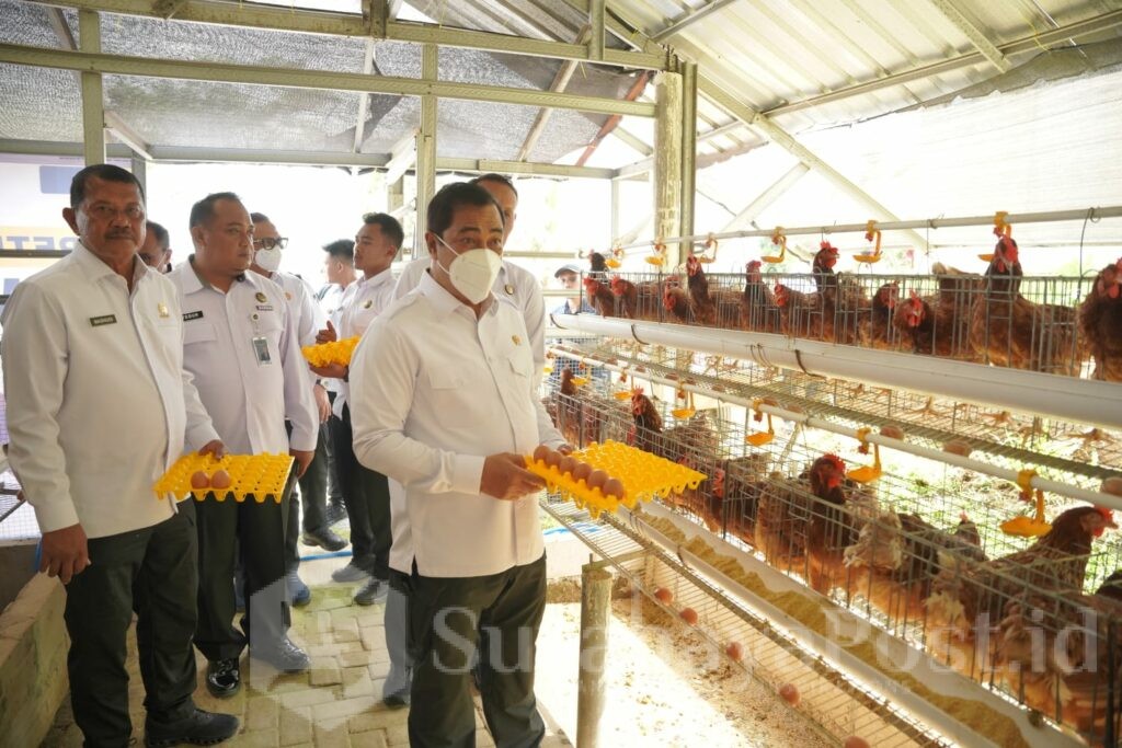 Menteri Imipas Agus Andrianto meninjau peternakan ayam petelor di SAE L'SIMA Ngajum