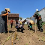 Polresta Malang Kota dan Ponpes Hidayatul Mubtadi’in Sinergi Dukung Ketahanan Pangan Nasional, Rabu 6 Agustus 2025. (istimewa).