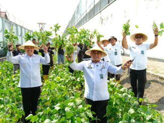 Lapas Kelas 1 Malang Panen Edamame Berkualitas Super, Siap Memenuhi Kebutuhan Pasar Domestik. (Foto: L'SIMA).