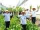 Lapas Kelas 1 Malang Panen Edamame Berkualitas Super, Siap Memenuhi Kebutuhan Pasar Domestik. (Foto: L'SIMA).