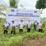 Panen Perdana Kacang Tanah di SAE L'SIMA Ngajum, Kakanwil Ditjenpas Jatim: Hasil Kolaborasi yang Luar Biasa, Senin 11 November 2025. (Sumber L'SIMA).