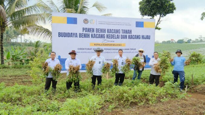 Panen Perdana Kacang Tanah di SAE L'SIMA Ngajum, Kakanwil Ditjenpas Jatim: Hasil Kolaborasi yang Luar Biasa, Senin 11 November 2025. (Sumber L'SIMA).